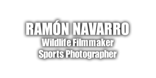 Ramón Navarro 